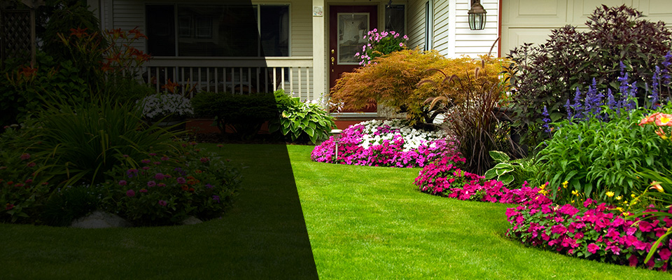 Hampstead Landscapers