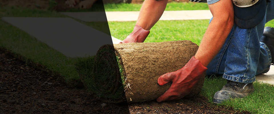 Hampstead Landscapers